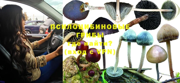 дживик Кинешма