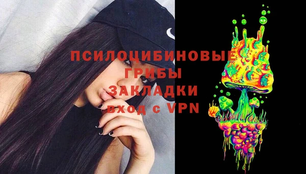 дживик Кинешма