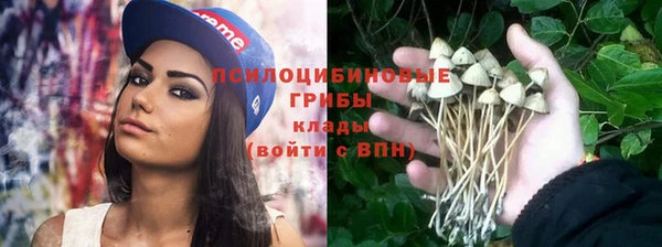 сатива Козельск