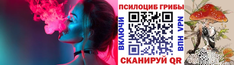 Псилоцибиновые грибы Psilocybe  Купить закладки  Крымск 